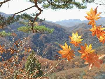 岩匠机械，自动化技术重塑岩工行业新形态